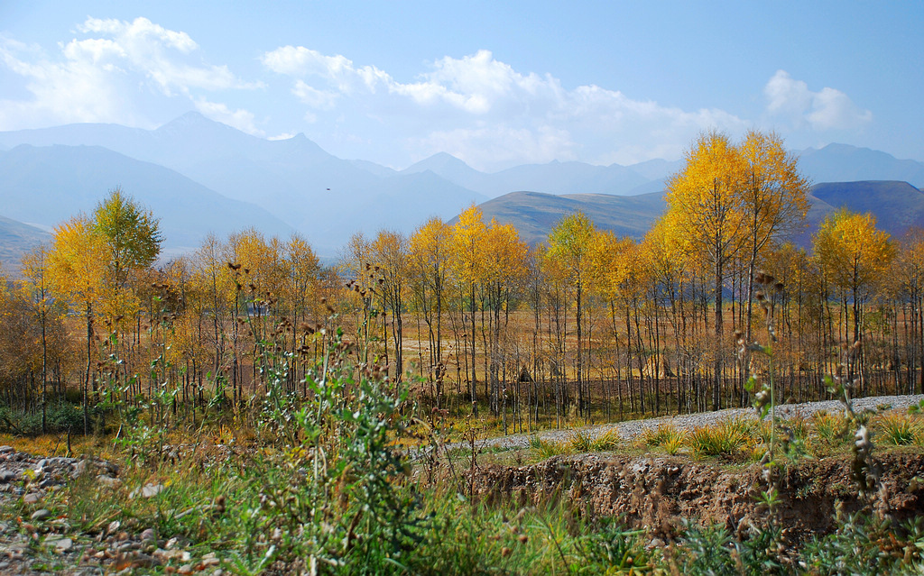 DSC_0284.JPG