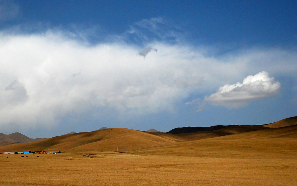 DSC_0376.JPG