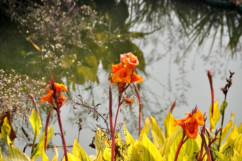DSC_0062_conew1.jpg