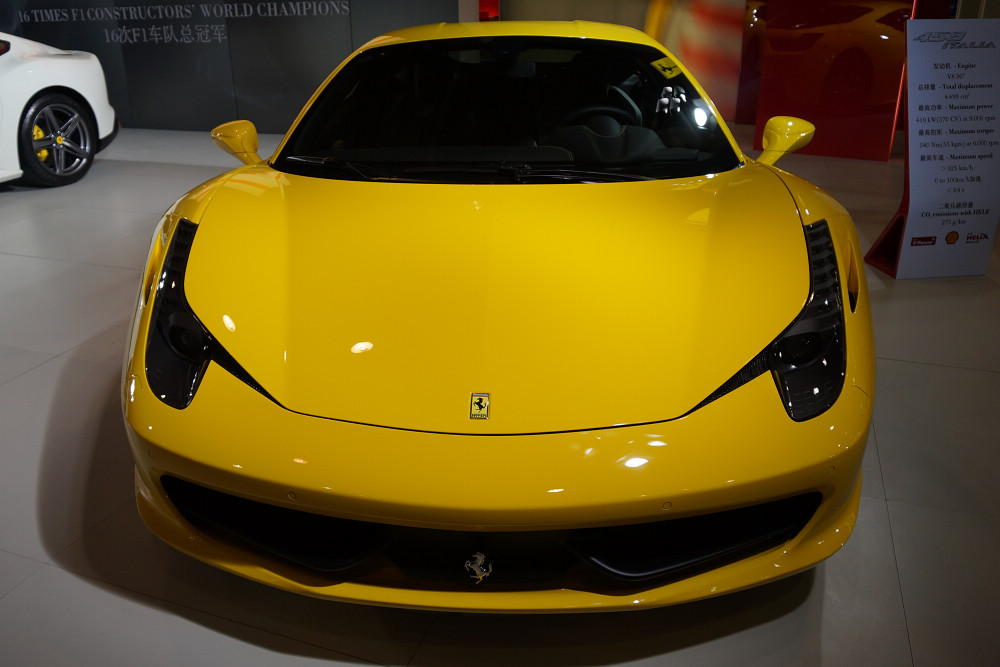 DSC02591.jpg