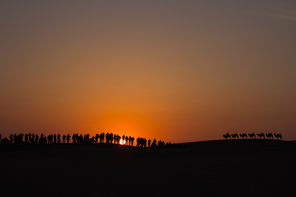 IMG_7449-1.jpg