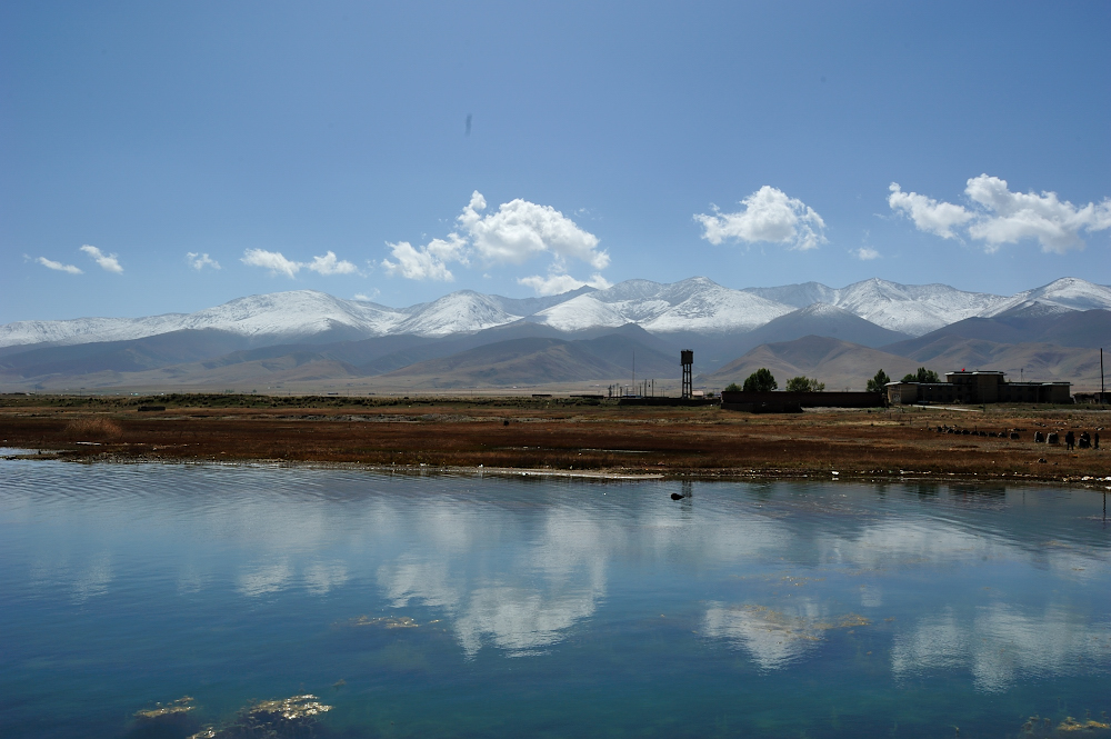 DSC_6997.JPG