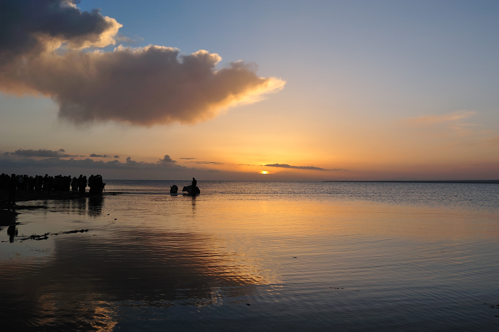DSC_7305.JPG