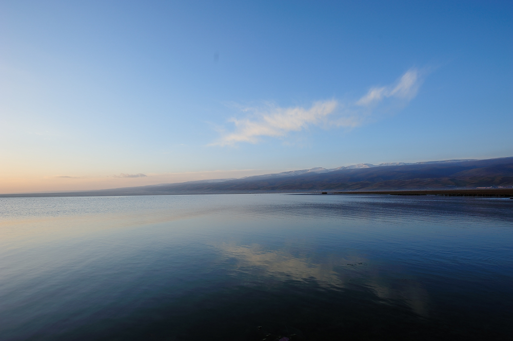 DSC_7318.JPG