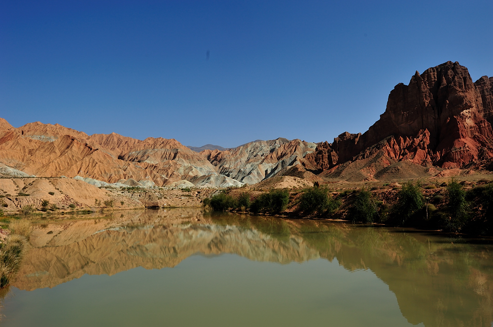 DSC_7694.JPG