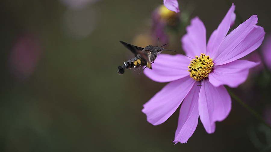 20131015_8273.jpg