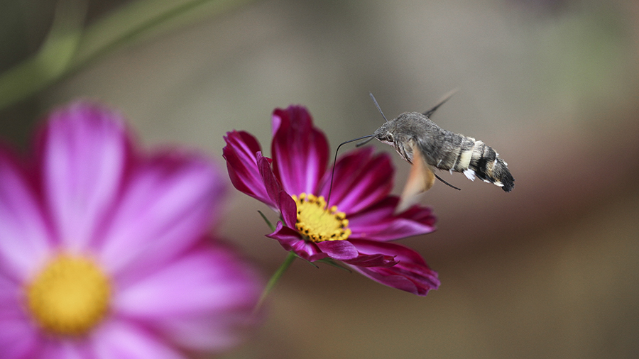 20131015_8344副本.jpg