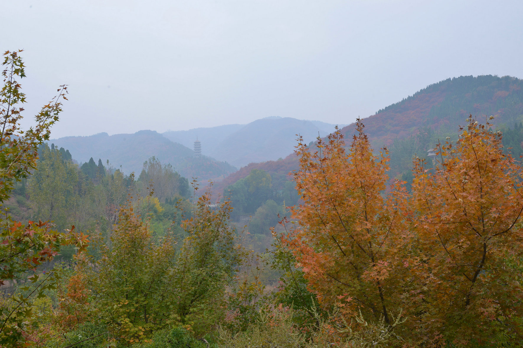 DSC_2694.JPG
