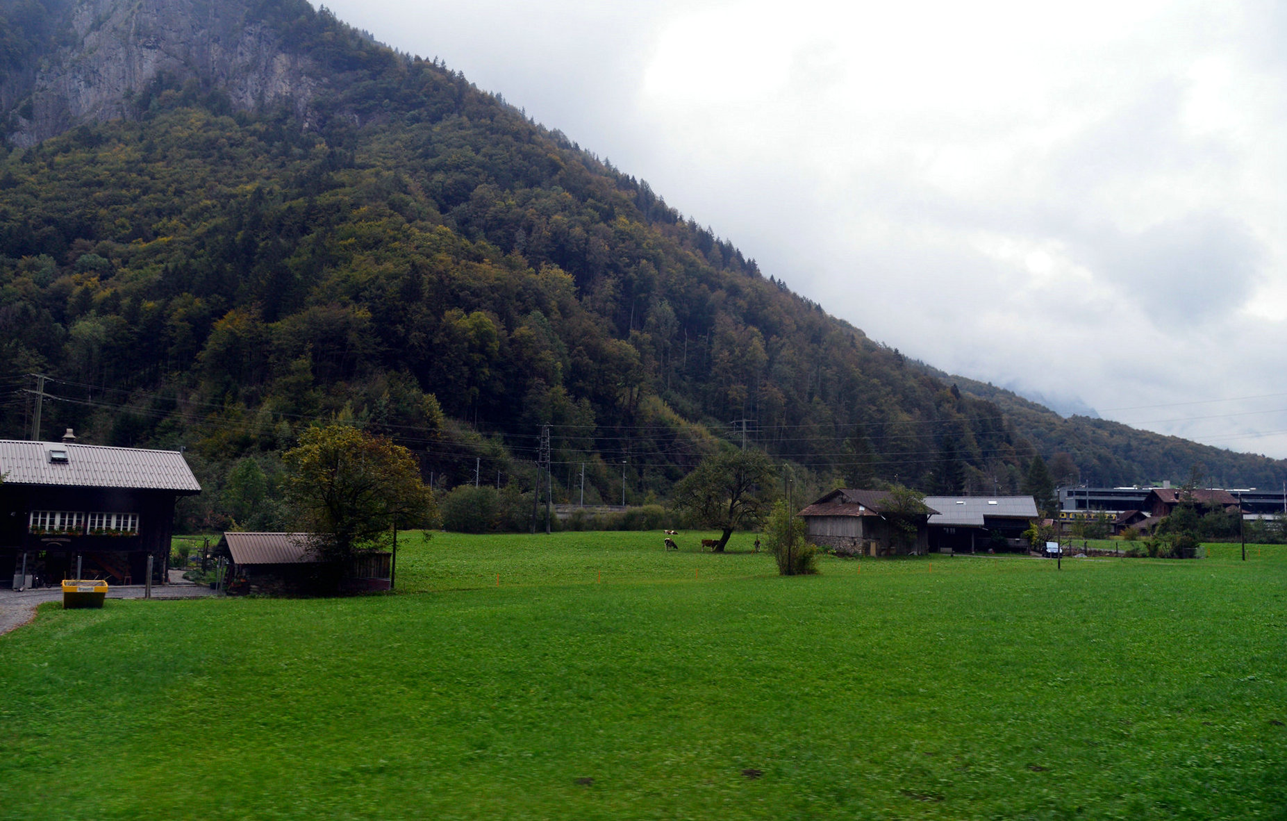 DSC_0296.JPG