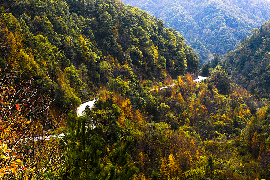20131020_8980副本.jpg