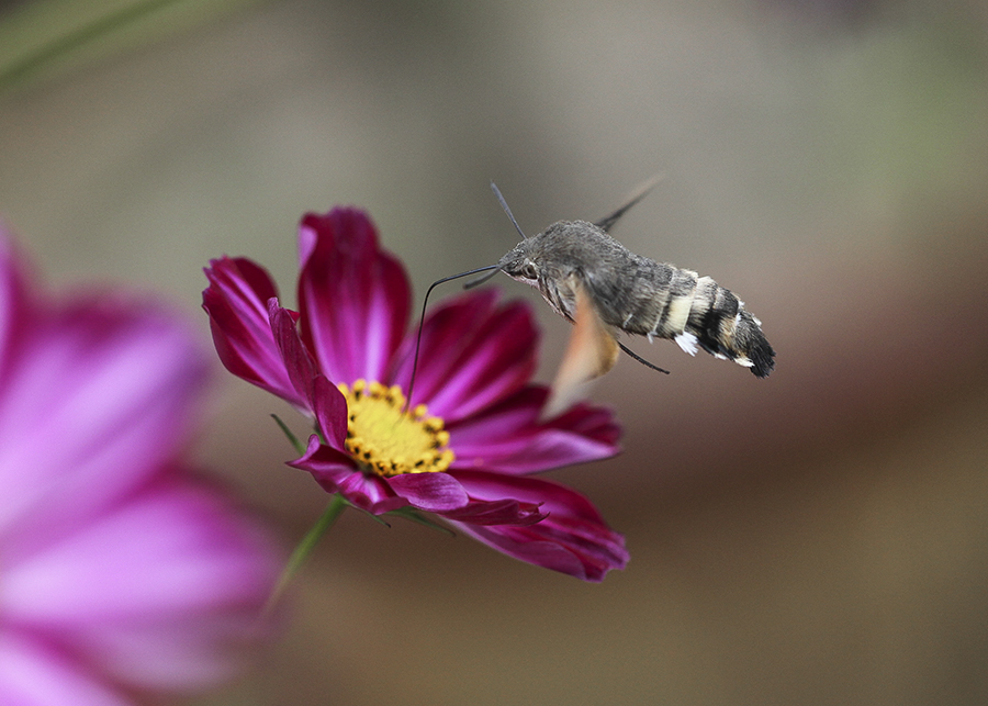 20131015_8344副本.jpg