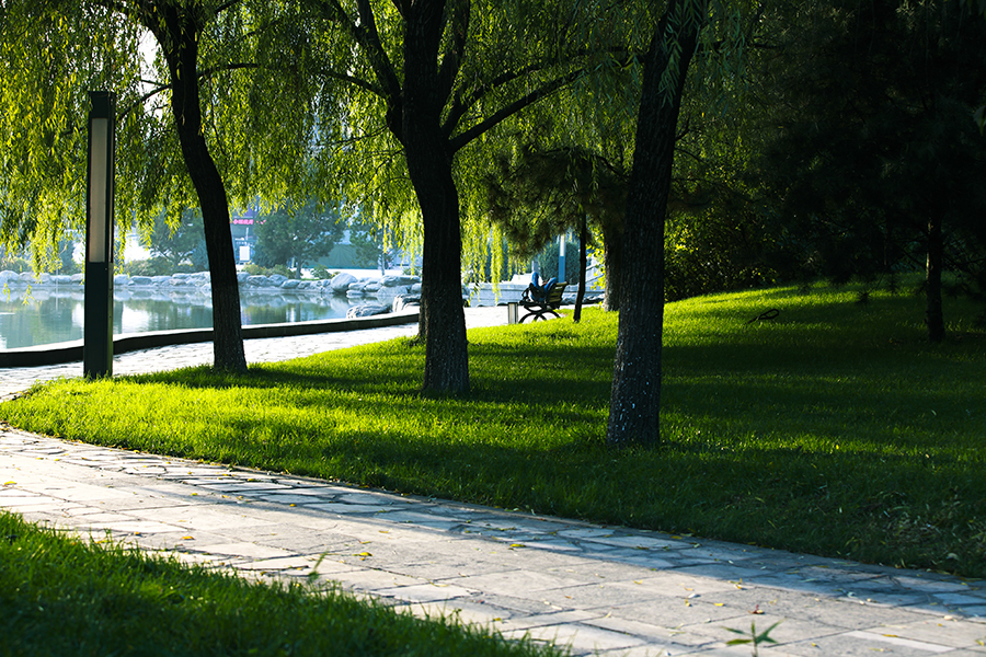20131106_9879.jpg