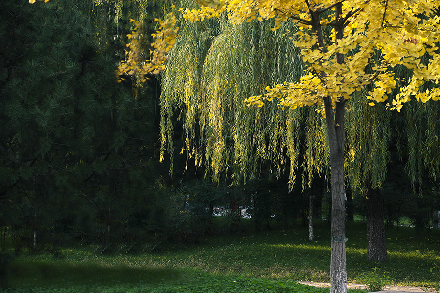 20131106_9877.jpg