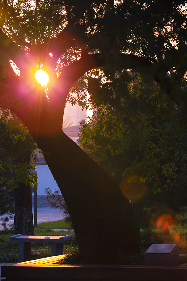 20131106_9945.jpg