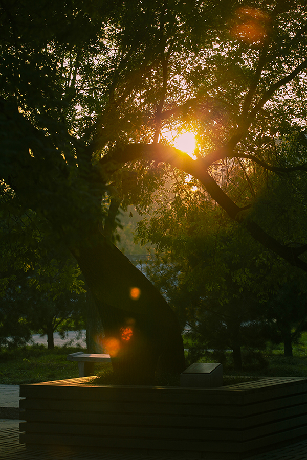 20131106_9947.jpg