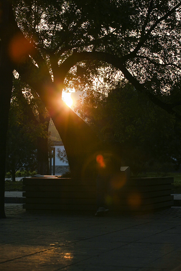 20131106_9951.jpg