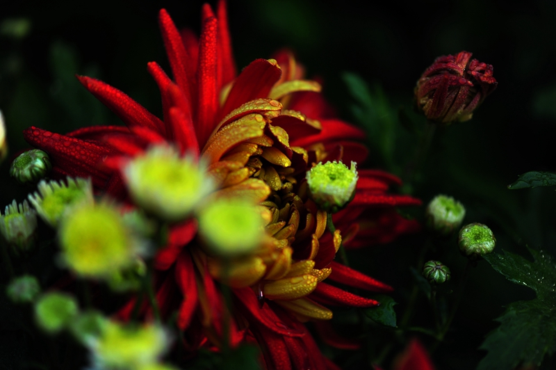 DSC_6170_副本_副本.jpg