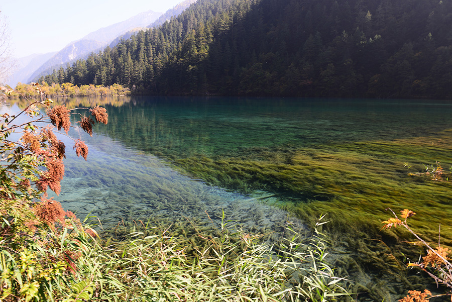 DSC_1372.JPG