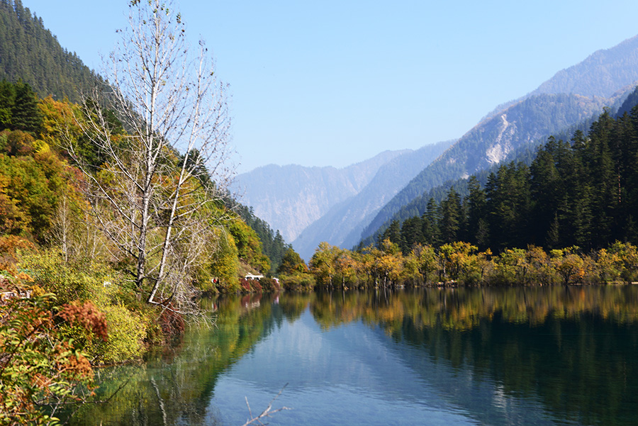 DSC_1377.JPG