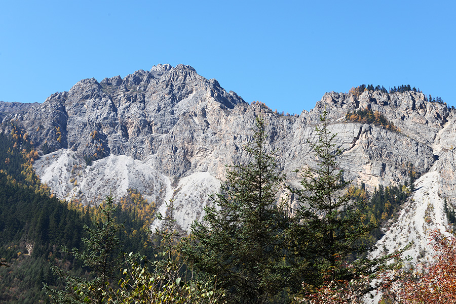 DSC_1392.JPG