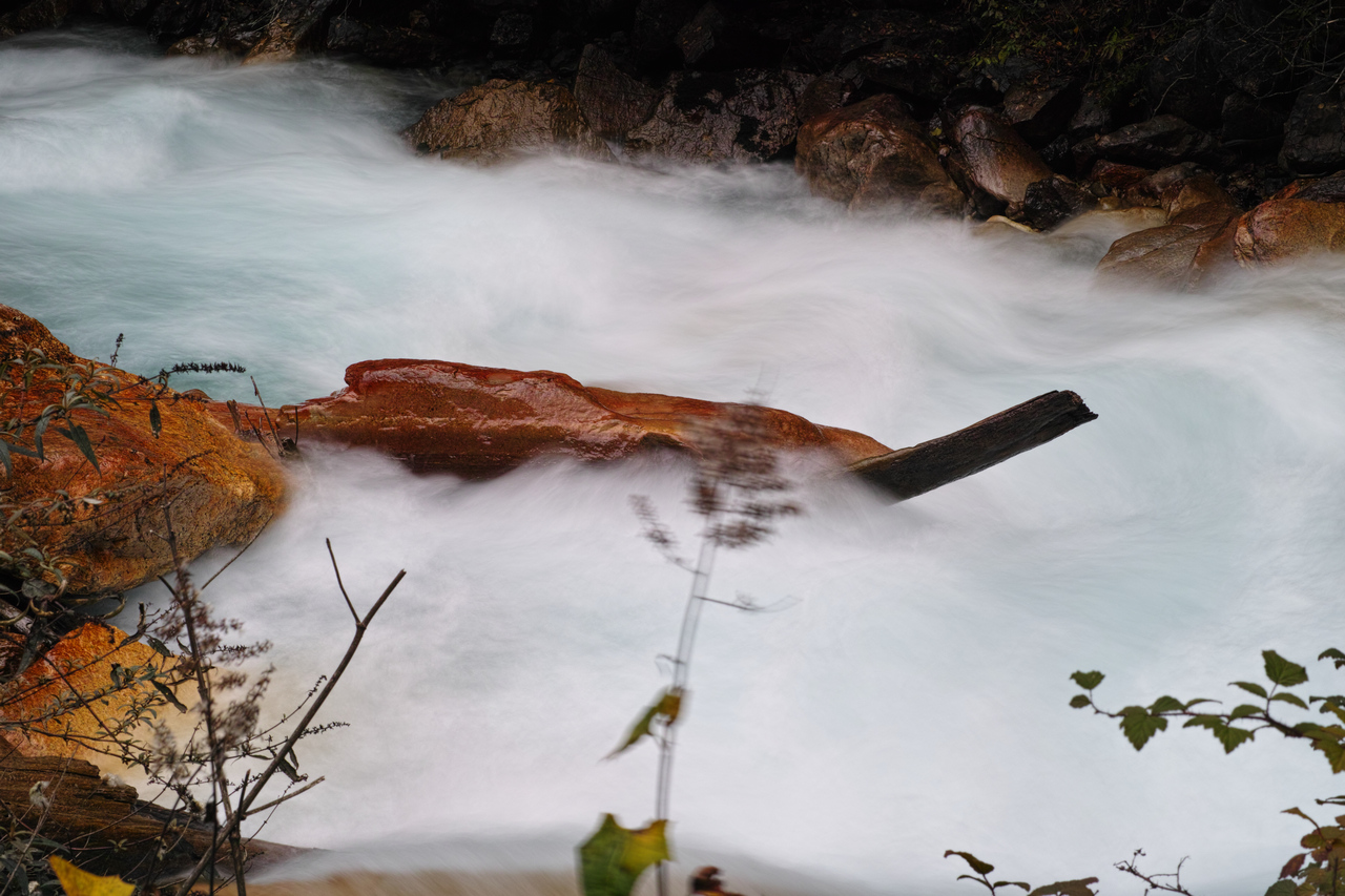 SDIM04721.jpg
