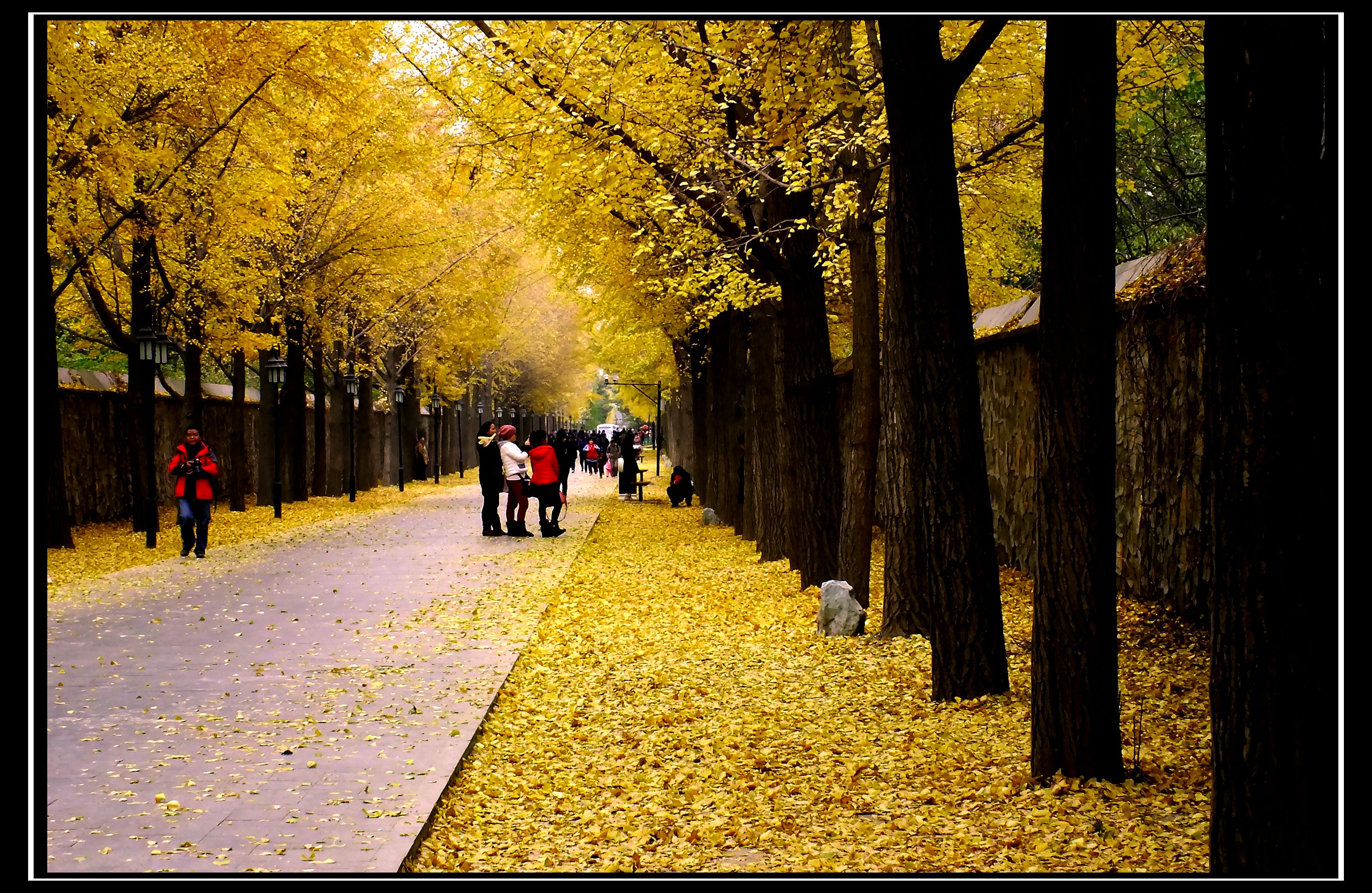 DSCF0701_副本.jpg