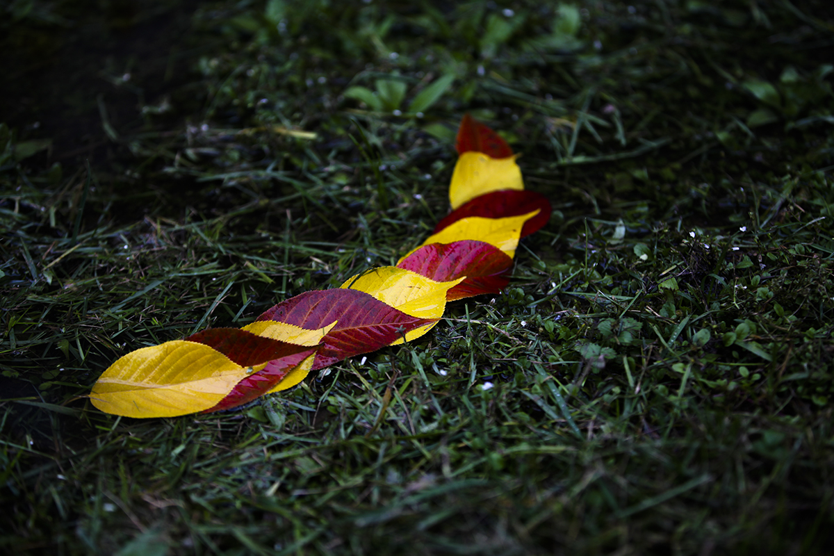 20131110_0063.jpg