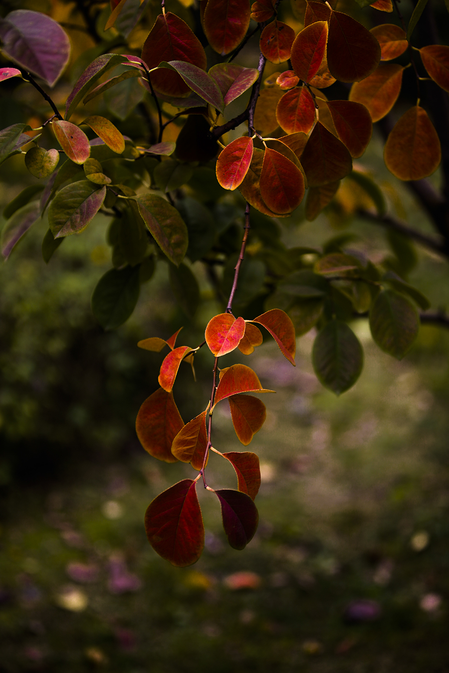 20131110_0057.jpg