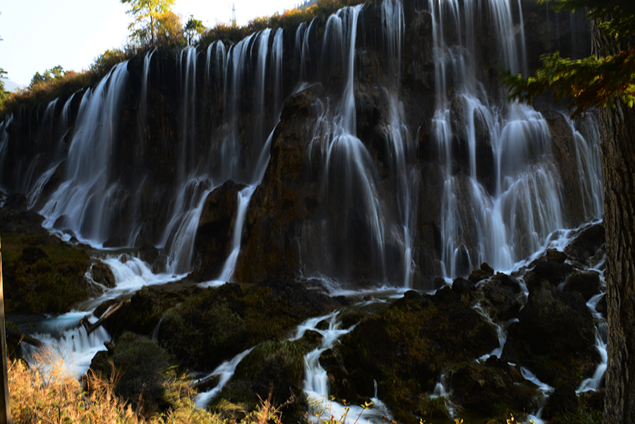 DSC_1877.JPG
