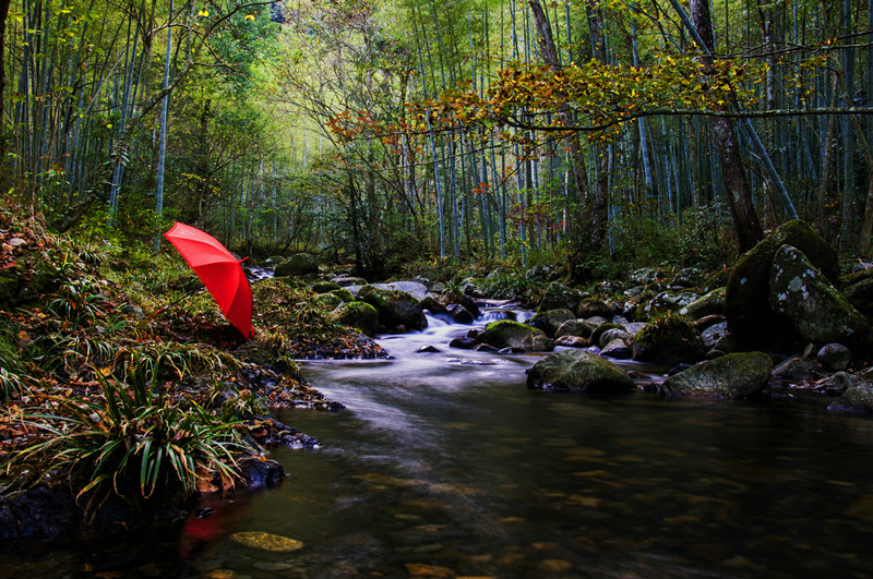 DSC_0295_副本.jpg