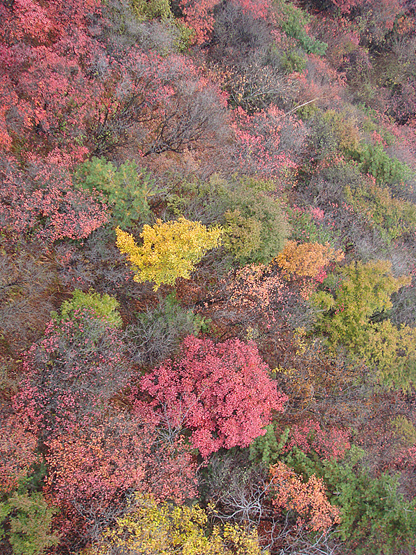 DSC01044_副本.jpg