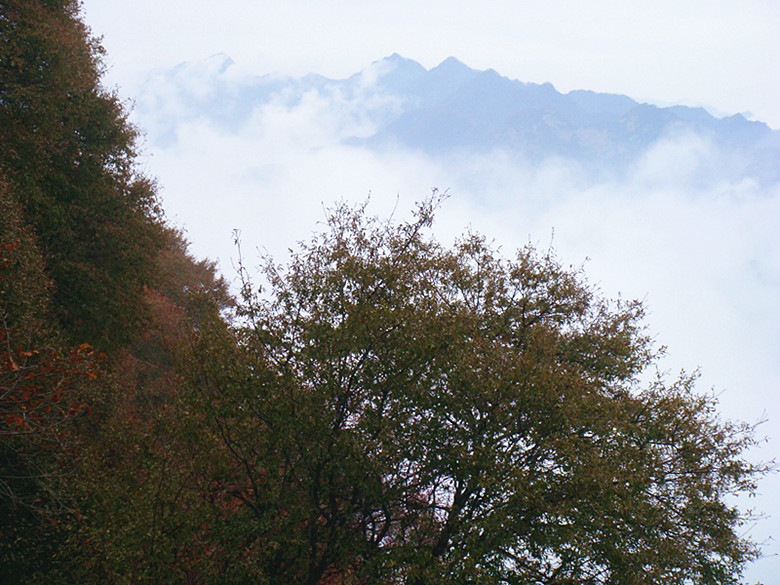 DSC01051_副本.jpg