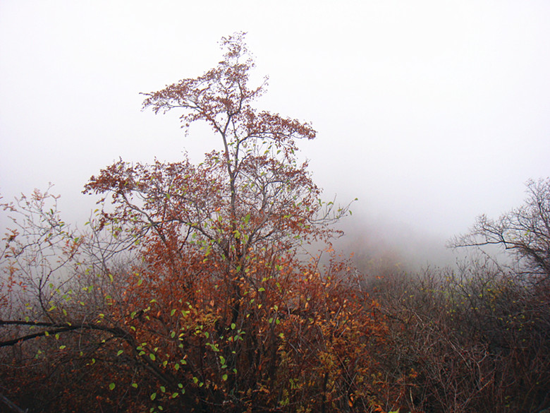 DSC01066_副本.jpg