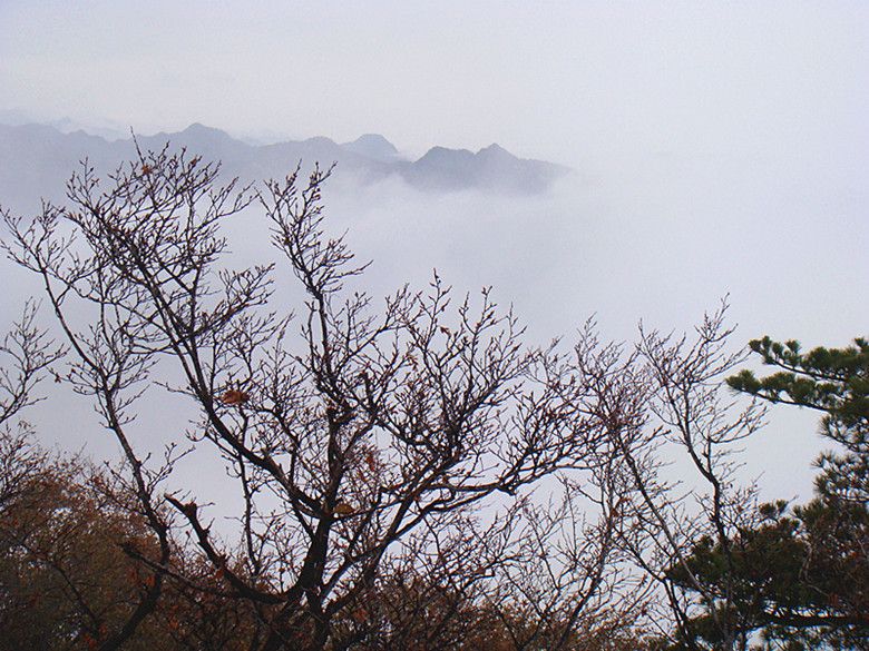 DSC01068_副本.jpg