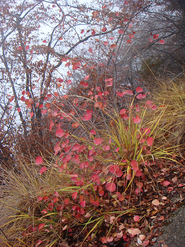 DSC01075_副本.jpg