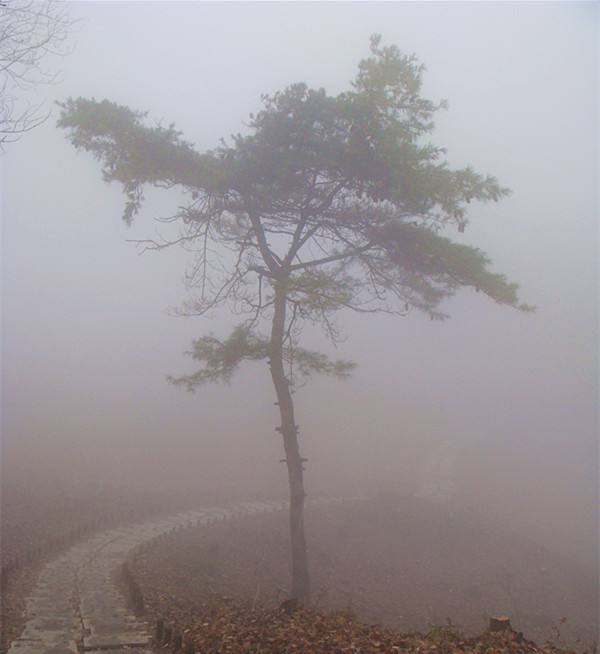 DSC01131_副本.jpg