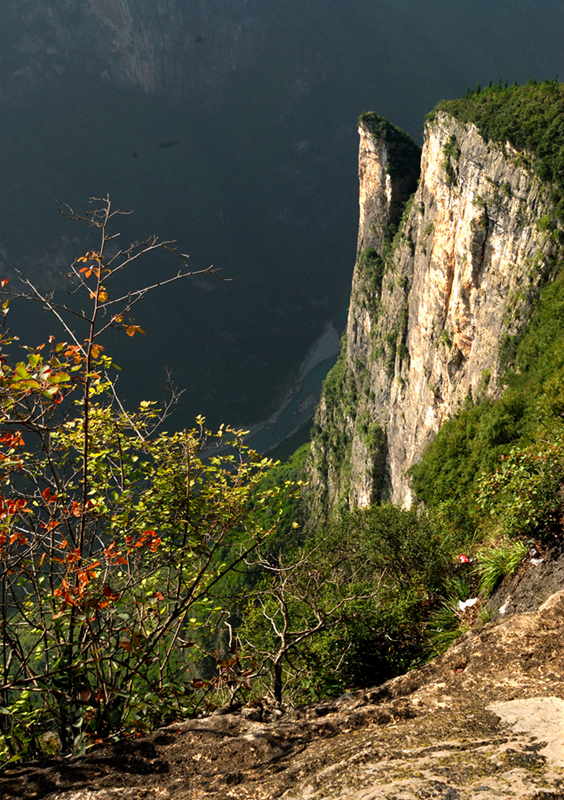_DSC0075.jpg