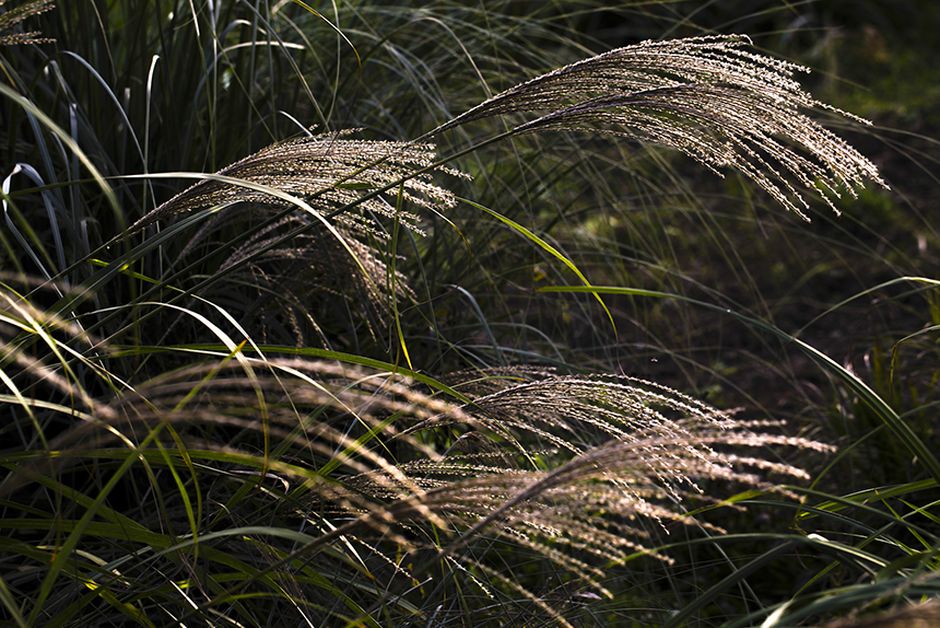20131114_0231.jpg