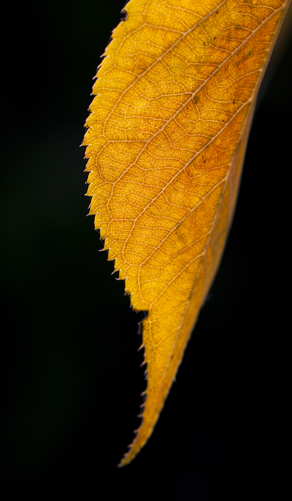 20131114_0206.jpg