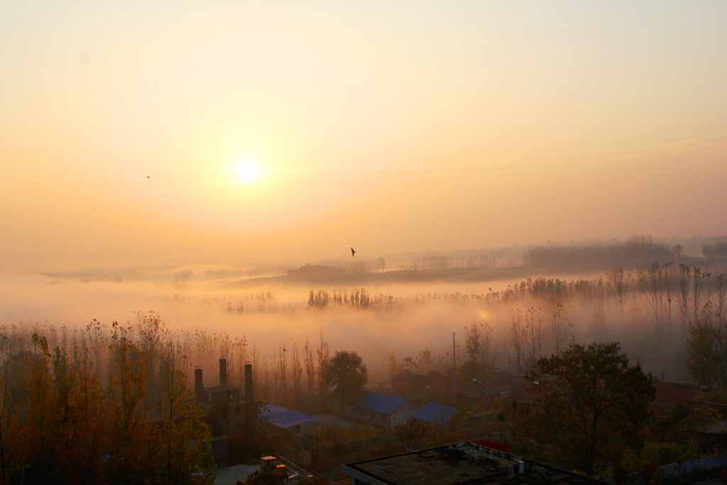 IMG_0220坝下 20.jpg