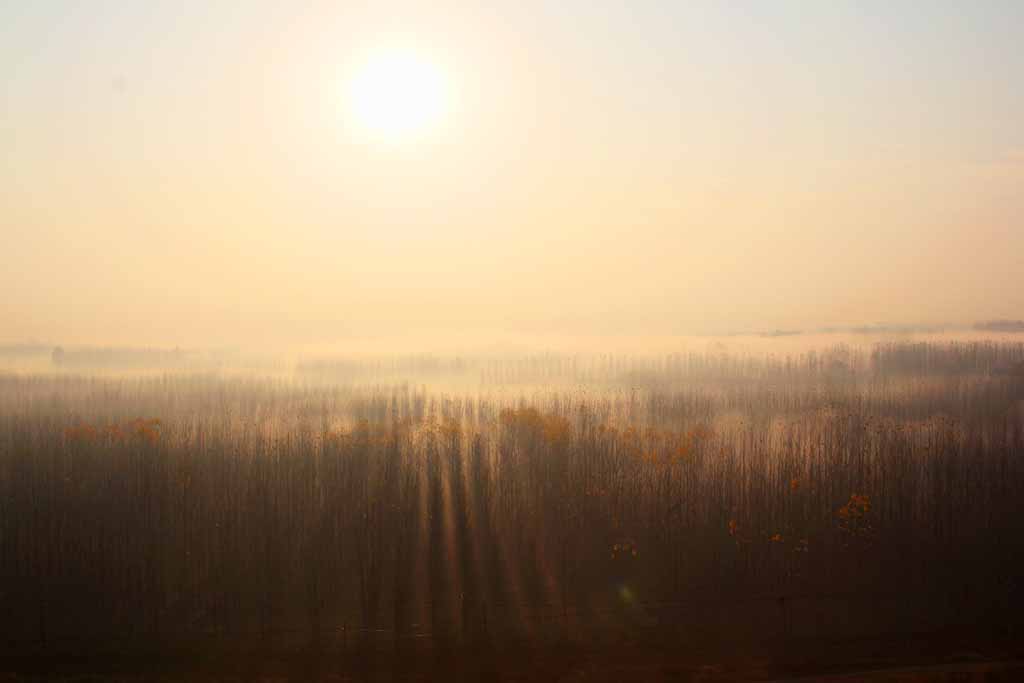 IMG_0270坝下23.jpg