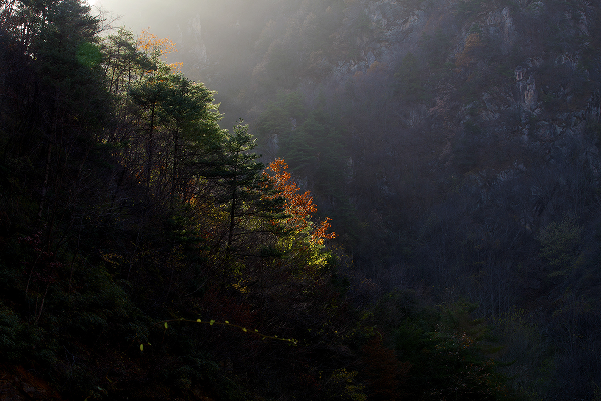 20131116_0394.jpg