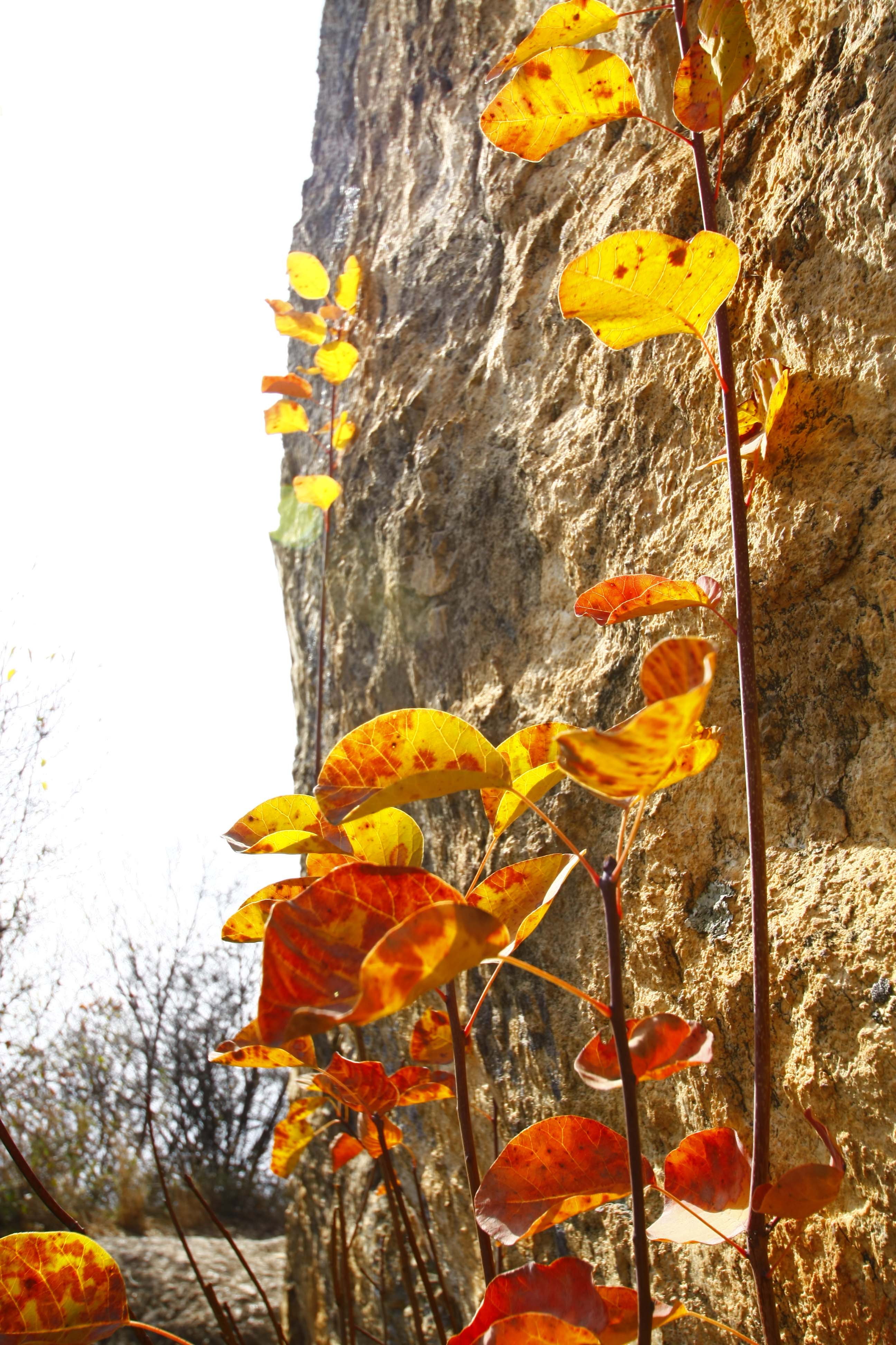 _MG_5108.jpg