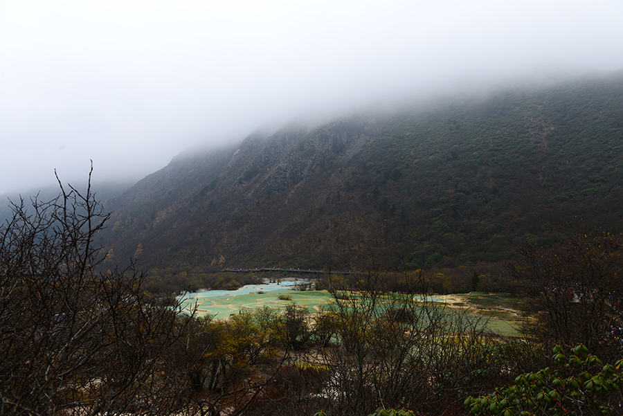 DSC_2541.JPG