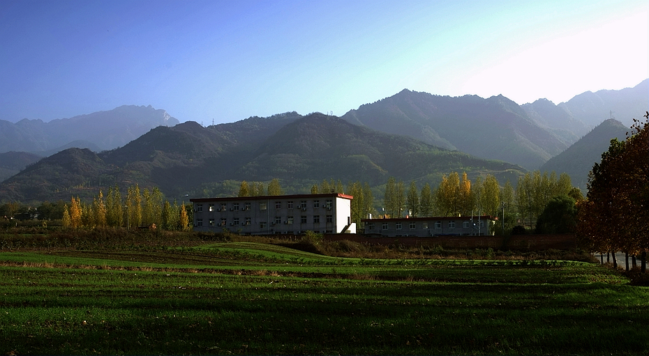 DSC_7946_副本.jpg