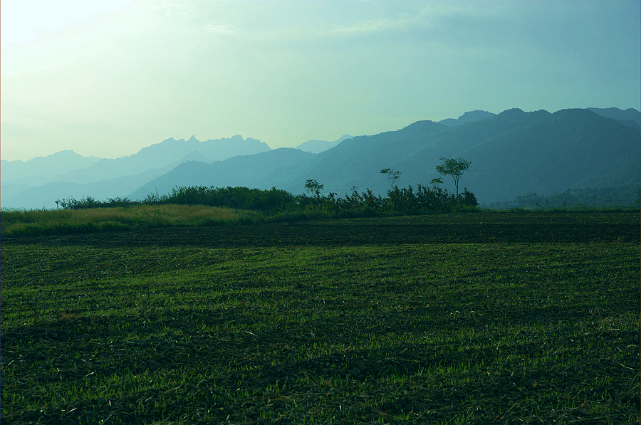 _DSC5051_副本.jpg