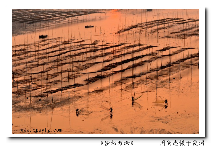 QQ截图20131110102716.jpg