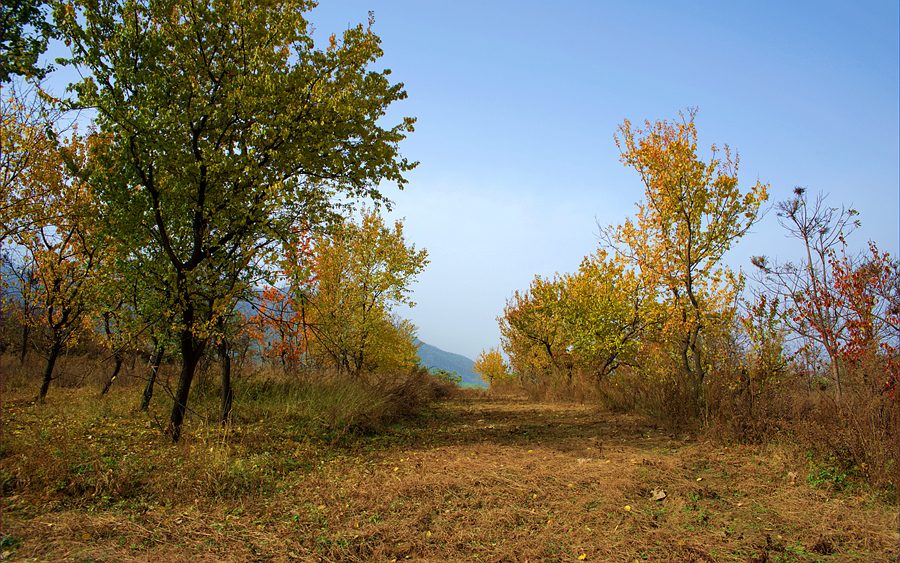 _DSC6172_副本.jpg