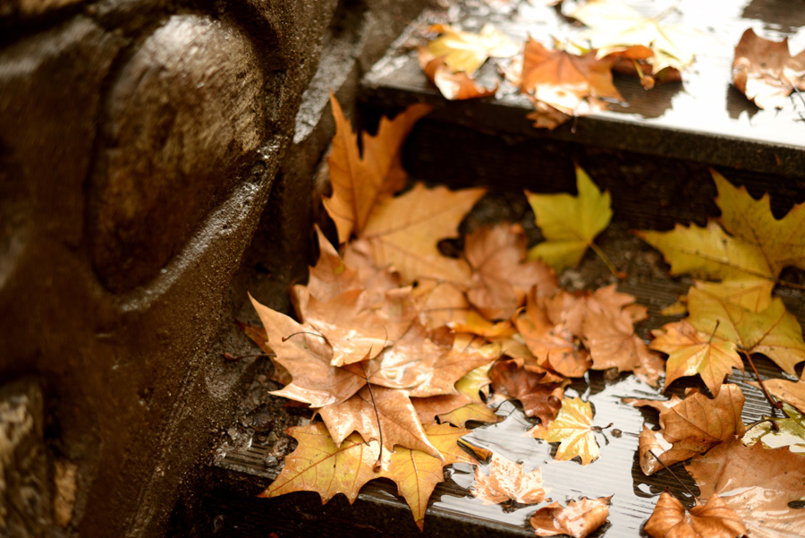 DSC_1441.jpg