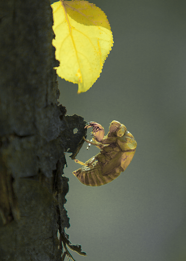 20131124_0809.jpg